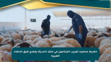 «ضبط محكم» تهريب الكبتاجون في منفذ الحديثة يفضح طرق الإخفاء الغريبة